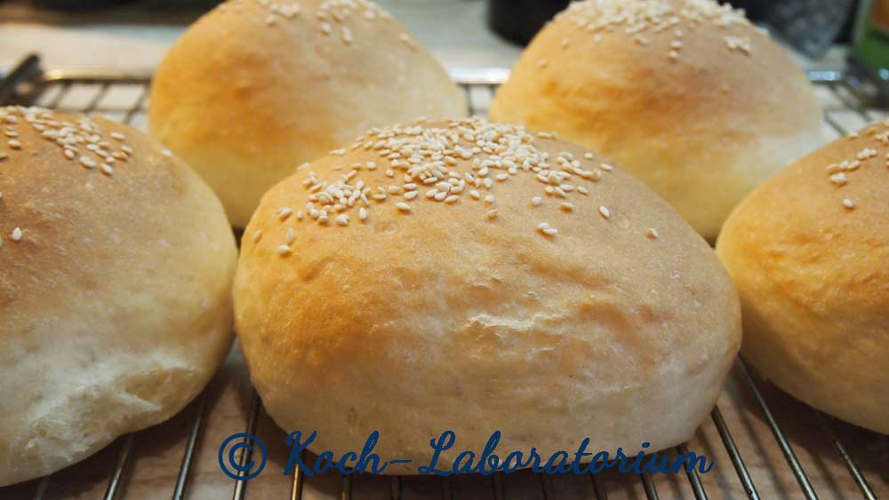 Hamburger Brötchen „Buns“