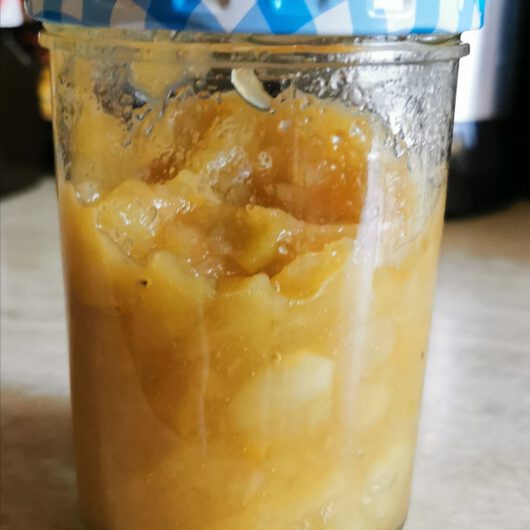 Milchreis im Slow Cooker – Kochlaboratorium