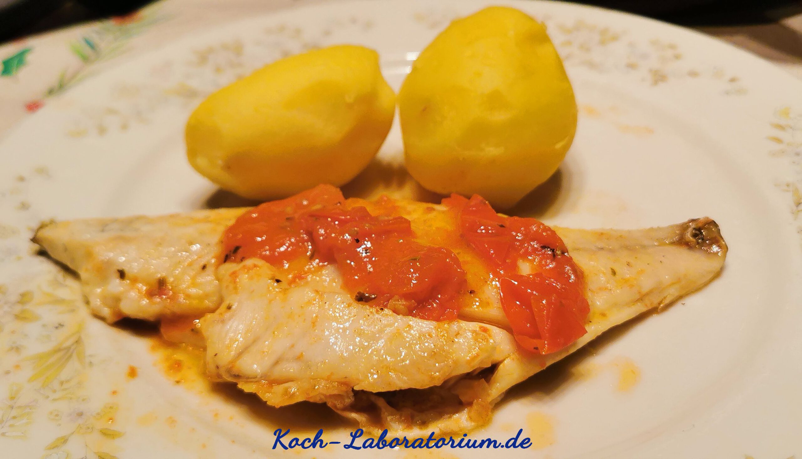 Doradenfilets mit Tomatensauce